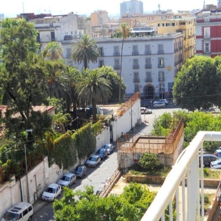 Rosy Napoli